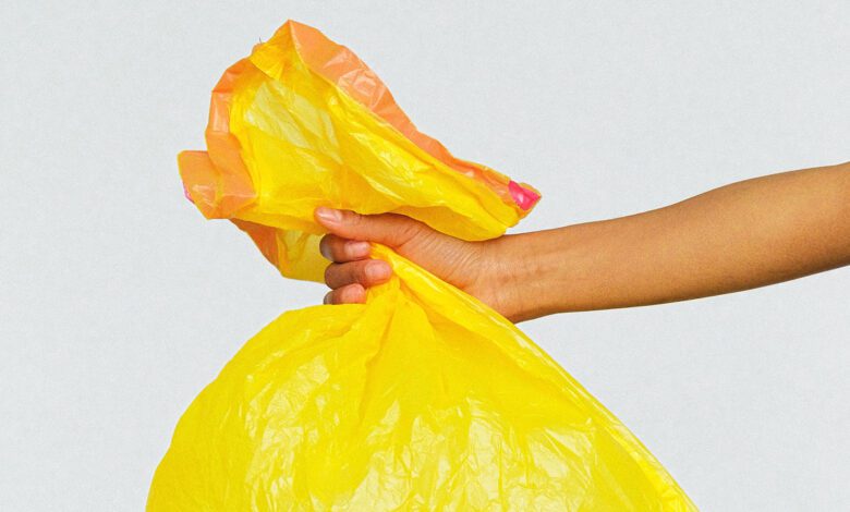 El mercado de plástico compostable: estrategias de desarrollo empresarial 2027