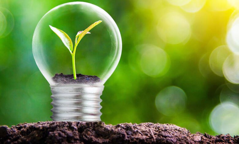 Desarrollan el proceso con menor costo para producir plásticos compostables