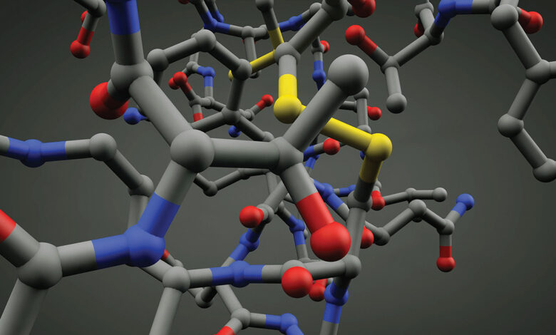 El arte de las membranas: Membranas de biopolímeros para aplicaciones industriales