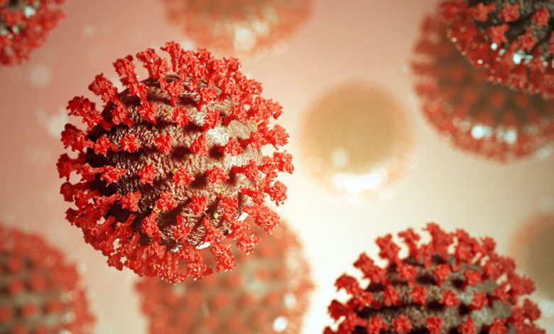 Materiales compuestos: el enemigo del virus