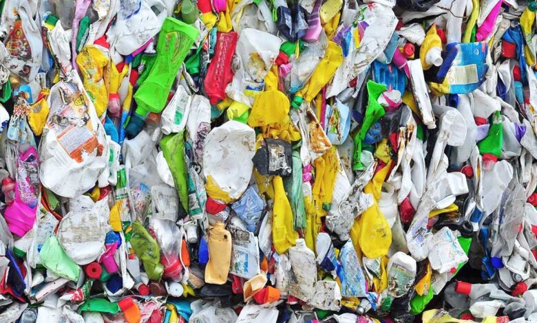 Pese a COVID-19, se mantiene la tasa de reciclaje en México