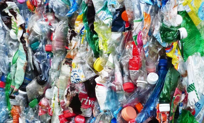 Las vueltas de la Economía Circular