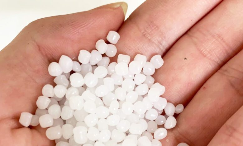 ¿Plásticos comestibles? investigación gana el Premio Future Insight 2021