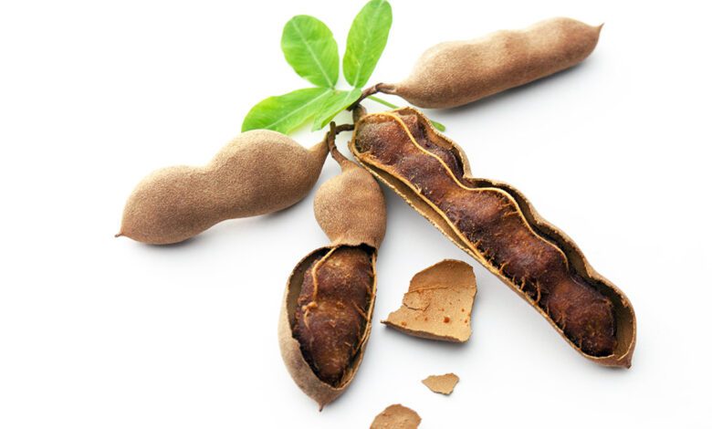 UNAM convierte semillas de tamarindo en bioplásticos