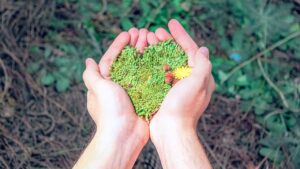 GreenFace: un tapabocas que se puede sembrar y otras acciones sostenibles