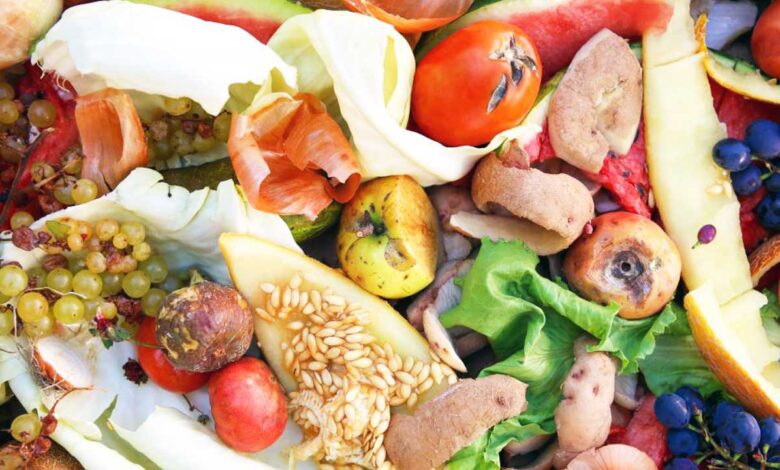 Así es como la industria puede cambiar el exceso de desperdicio de alimentos en el mundo