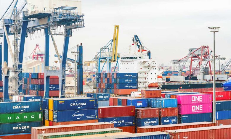 Escasez de insumos y contenedores: reto para el abastecimiento global