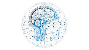 Súperconectados a Internet: lo que la neurociencia quiere decir