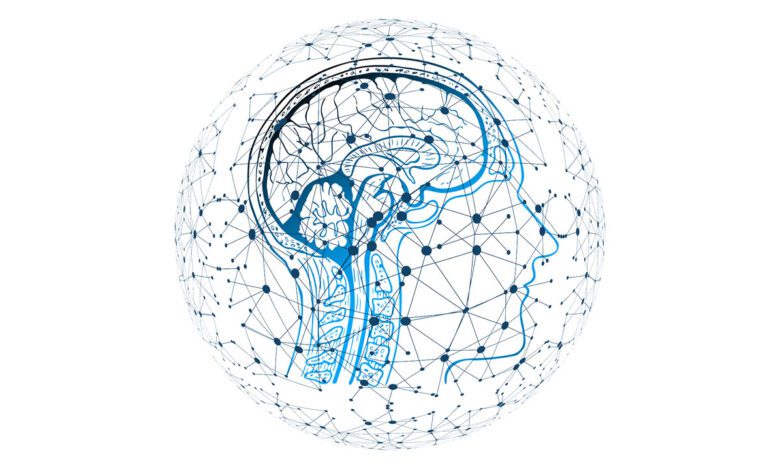 Súperconectados a Internet: lo que la neurociencia quiere decir
