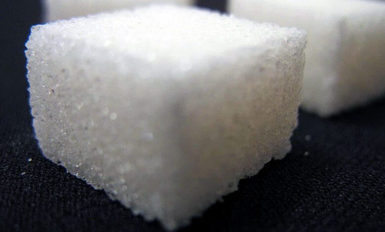 Plásticos a base de azúcar resistentes, reciclables y degradables