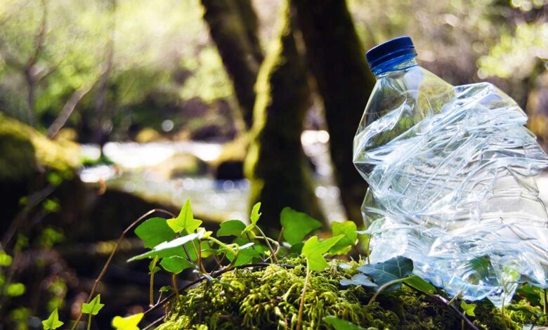 Mercado de plásticos biodegradables tendrá un valor de 23.3 mmd en 2026