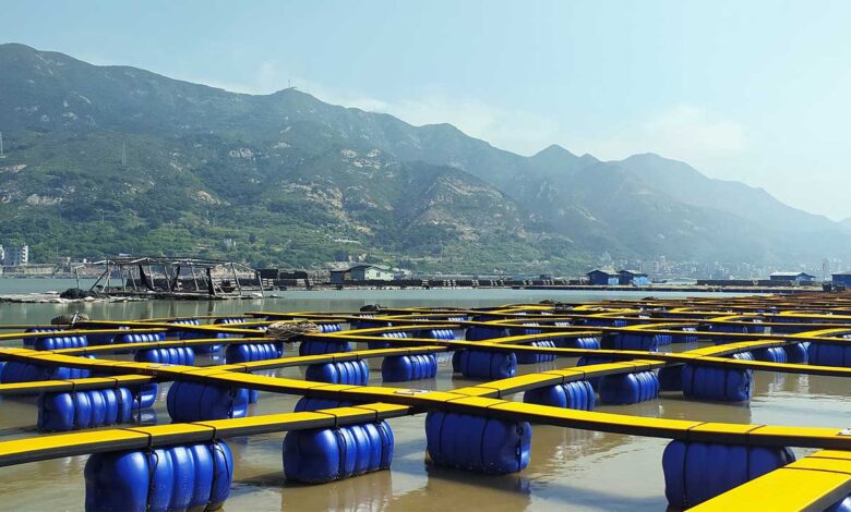 Estabilizador de luz aumenta la durabilidad de los pontones para la piscicultura de China
