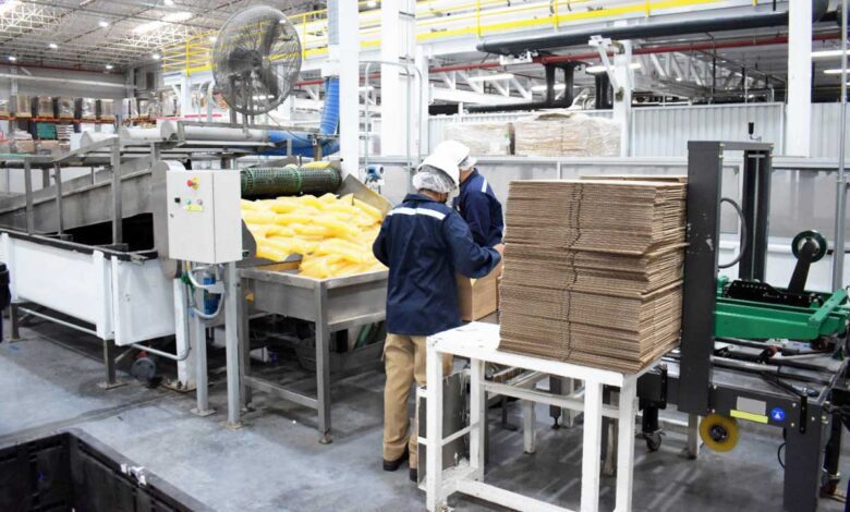 Henkel inaugura planta de adhesivos en México
