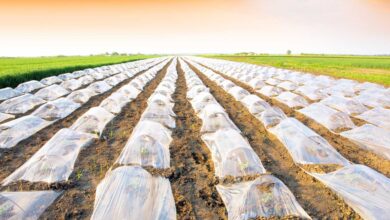 Netafim abrirá una planta de reciclaje de plástico agrícola en Culiacán