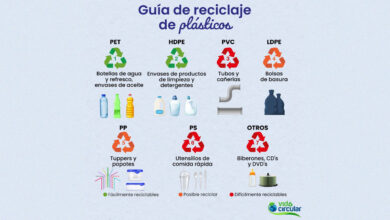 Guía rápida para la clasificación de plásticos en México