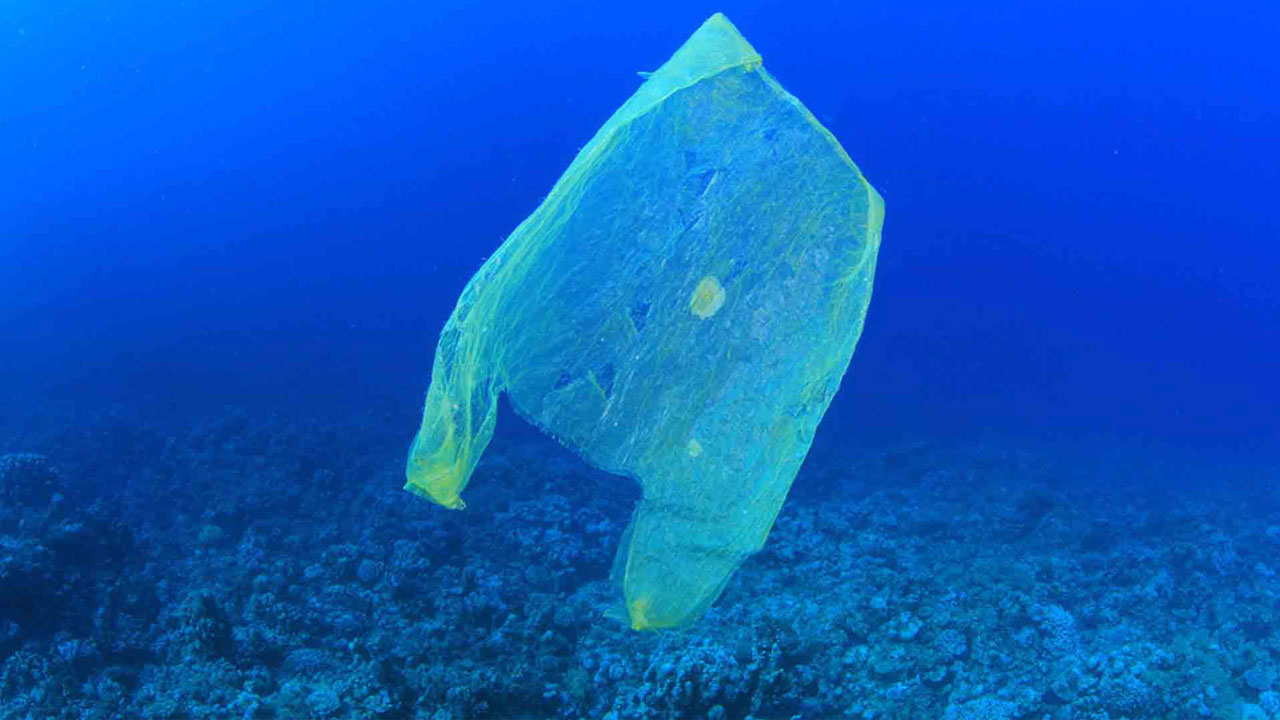 Hay menos contaminación plástico en los océanos de lo que se estimaba: estudio